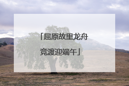 屈原故里龙舟竞渡迎端午