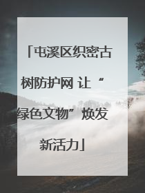 屯溪区织密古树防护网 让“绿色文物”焕发新活力