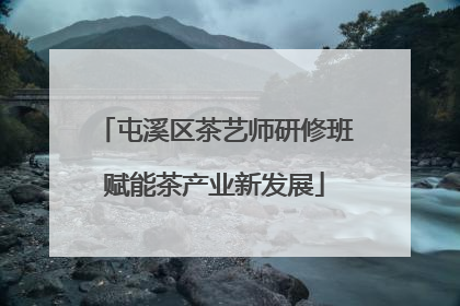 屯溪区茶艺师研修班赋能茶产业新发展