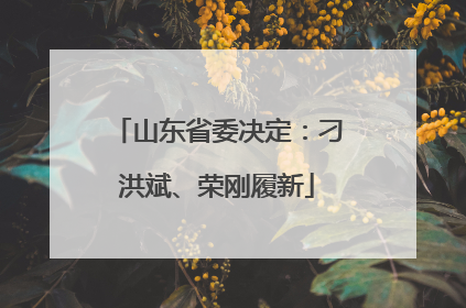 山东省委决定：刁洪斌、荣刚履新