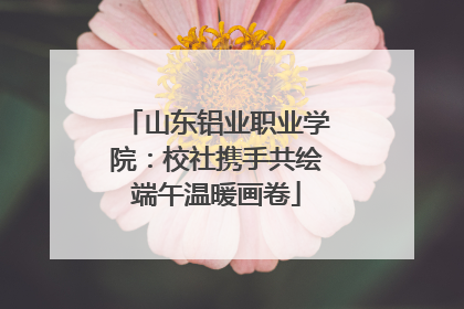 山东铝业职业学院：校社携手共绘端午温暖画卷
