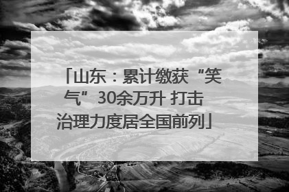 山东：累计缴获“笑气”30余万升 打击治理力度居全国前列