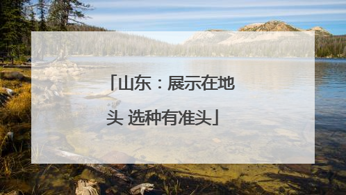 山东：展示在地头 选种有准头