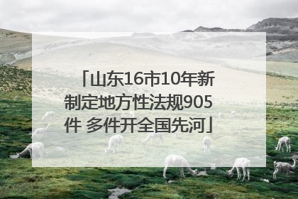 山东16市10年新制定地方性法规905件 多件开全国先河