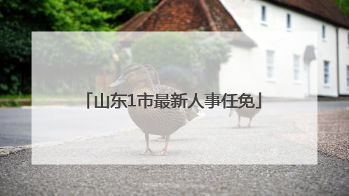 山东1市最新人事任免