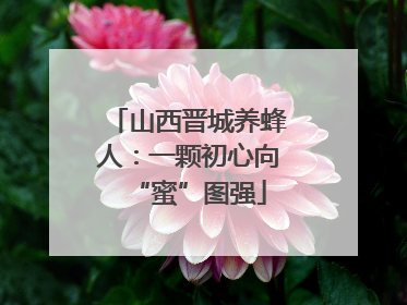 山西晋城养蜂人：一颗初心向“蜜”图强