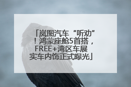 岚图汽车“听劝”！鸿蒙座舱5首搭，FREE+湾区车展实车内饰正式曝光