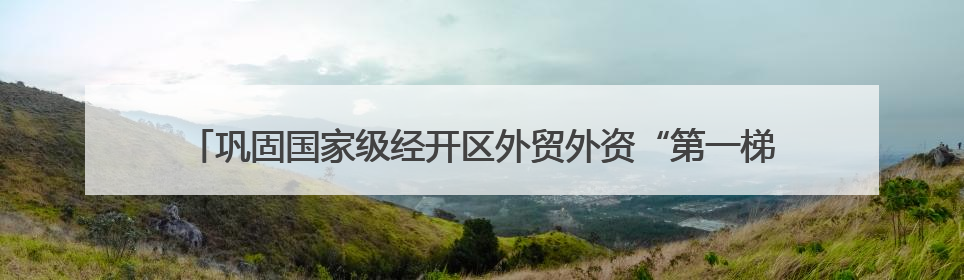 巩固国家级经开区外贸外资“第一梯队”地位——解码苏州工业园区样本