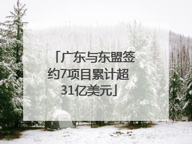 广东与东盟签约7项目累计超31亿美元