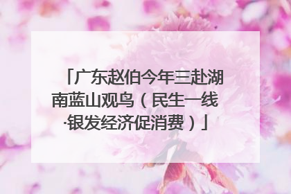 广东赵伯今年三赴湖南蓝山观鸟（民生一线·银发经济促消费）