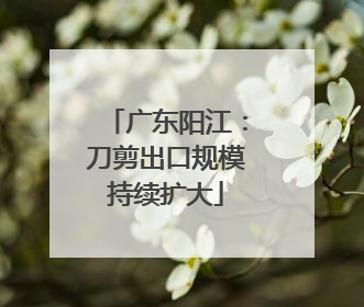 广东阳江：刀剪出口规模持续扩大