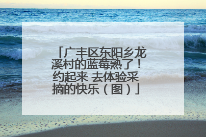 广丰区东阳乡龙溪村的蓝莓熟了！约起来 去体验采摘的快乐（图）