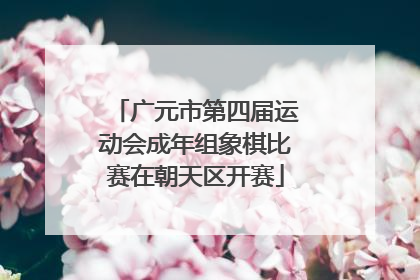 广元市第四届运动会成年组象棋比赛在朝天区开赛