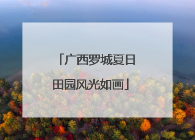 广西罗城夏日田园风光如画