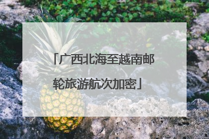 广西北海至越南邮轮旅游航次加密
