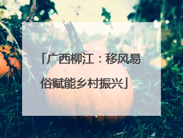 广西柳江：移风易俗赋能乡村振兴