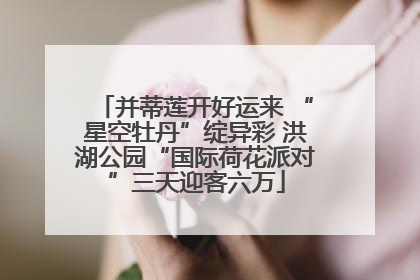 并蒂莲开好运来 “星空牡丹”绽异彩 洪湖公园“国际荷花派对”三天迎客六万