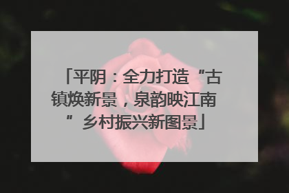 平阴：全力打造“古镇焕新景，泉韵映江南”乡村振兴新图景