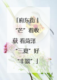 府东街丨“芒”着收获 看菏泽“三夏”好“丰景”