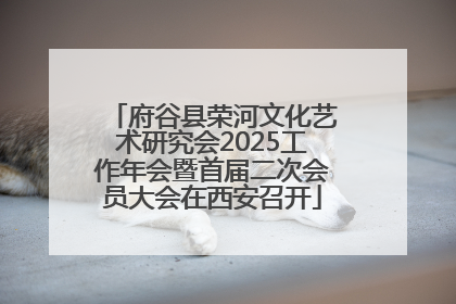 府谷县荣河文化艺术研究会2025工作年会暨首届二次会员大会在西安召开