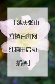 延庆张山营镇百亩网红稻田启动插秧