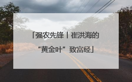 强农先锋丨崔洪海的“黄金叶”致富经