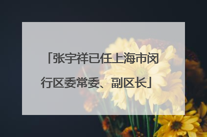 张宇祥已任上海市闵行区委常委、副区长