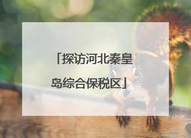 探访河北秦皇岛综合保税区