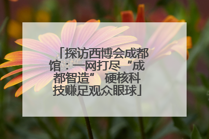 探访西博会成都馆：一网打尽“成都智造” 硬核科技赚足观众眼球