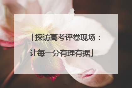 探访高考评卷现场：让每一分有理有据