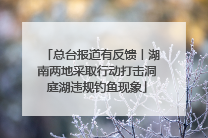 总台报道有反馈丨湖南两地采取行动打击洞庭湖违规钓鱼现象