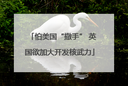 怕美国“撒手” 英国欲加大开发核武力