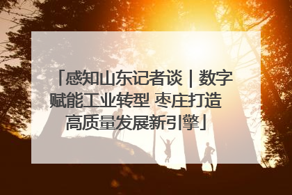 感知山东记者谈｜数字赋能工业转型 枣庄打造高质量发展新引擎