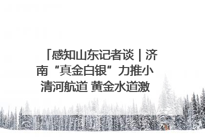 感知山东记者谈｜济南“真金白银”力推小清河航道 黄金水道激活区域经济新动能
