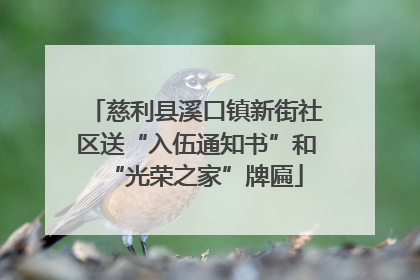 慈利县溪口镇新街社区送“入伍通知书”和“光荣之家”牌匾