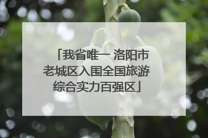 我省唯一 洛阳市老城区入围全国旅游综合实力百强区