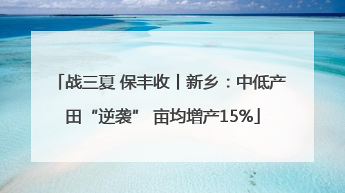 战三夏 保丰收丨新乡：中低产田“逆袭” 亩均增产15%