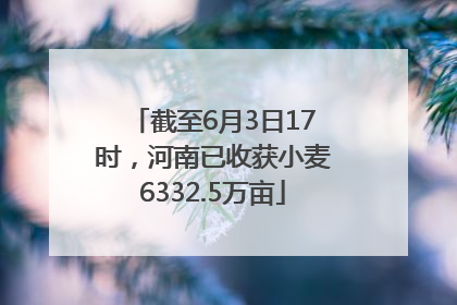 截至6月3日17时，河南已收获小麦6332.5万亩
