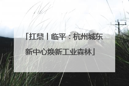 扛鼎丨临平：杭州城东新中心焕新工业森林