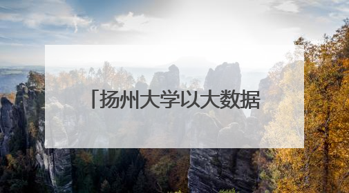 扬州大学以大数据赋能就业工作和人才培养 全链条就业帮扶畅通求职路