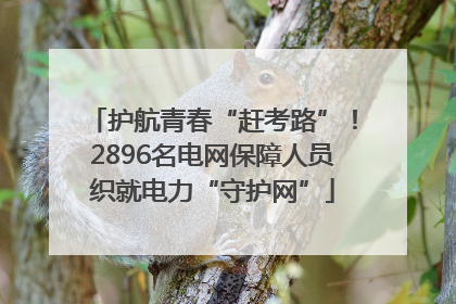 护航青春“赶考路”！2896名电网保障人员织就电力“守护网”
