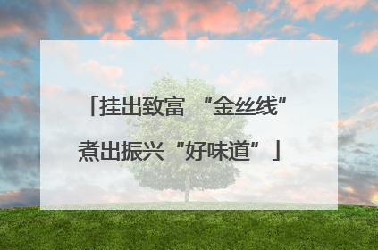 挂出致富 “金丝线” 煮出振兴“好味道”