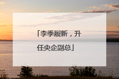 李季履新，升任央企副总
