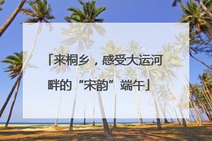 来桐乡，感受大运河畔的“宋韵”端午