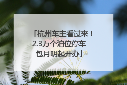 杭州车主看过来！2.3万个泊位停车包月明起开办