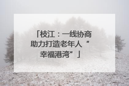 枝江：一线协商助力打造老年人“幸福港湾”