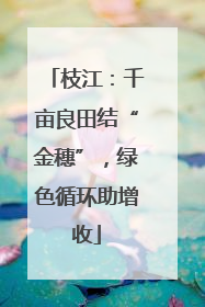 枝江：千亩良田结“金穗”，绿色循环助增收