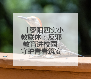 枣阳四实小教联体：反邪教育进校园 守护青春筑安全