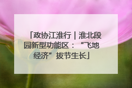 政协江淮行｜淮北段园新型功能区：“飞地经济”拔节生长