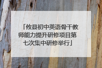 攸县初中英语骨干教师能力提升研修项目第七次集中研修举行